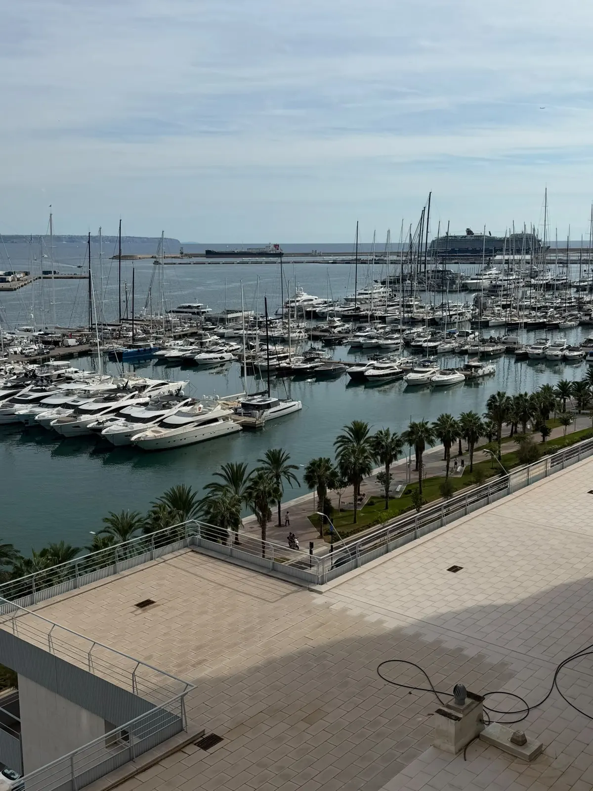 Blick vom Dach des Gebäudes auf die Marina von Palma