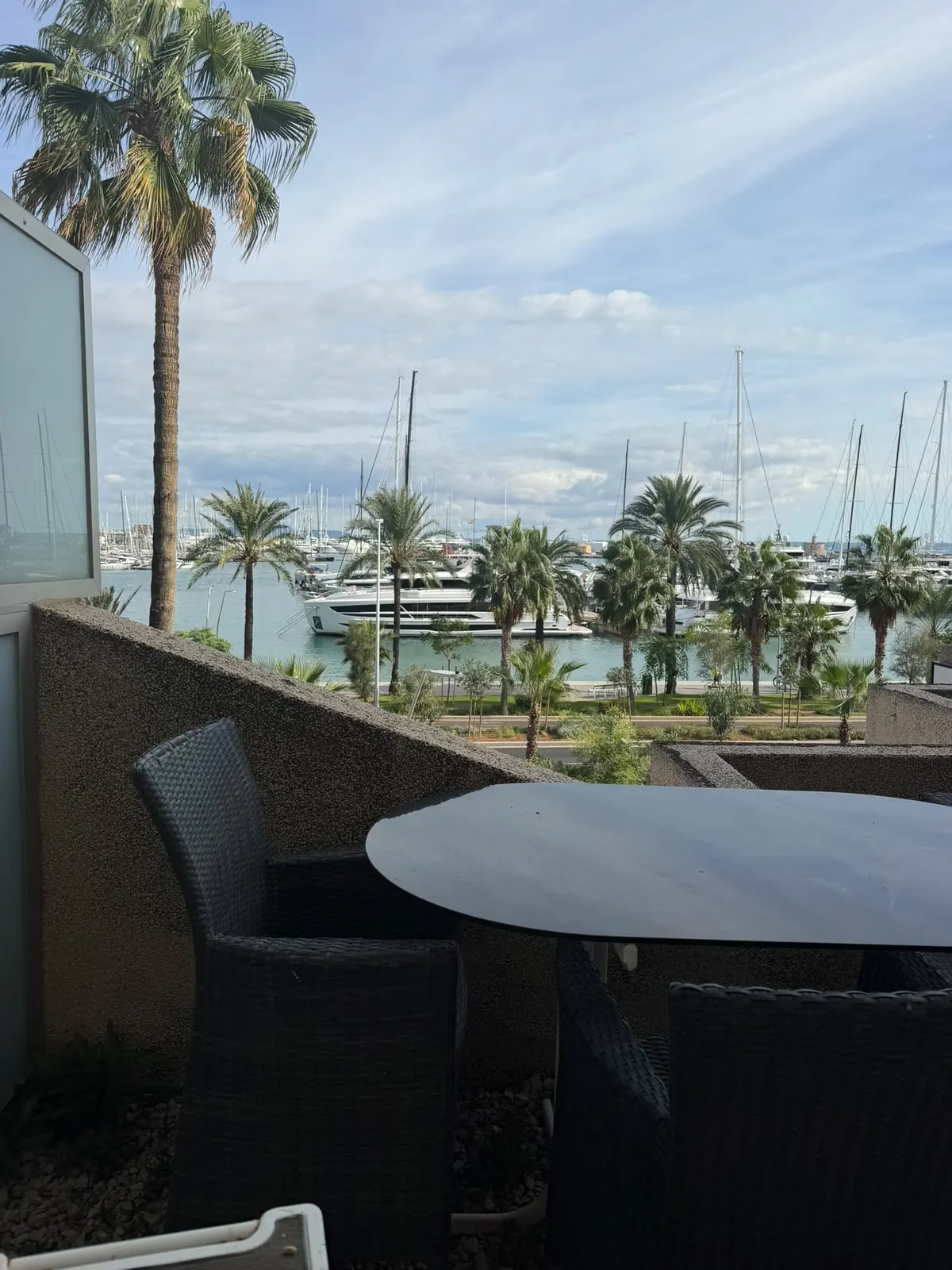 Meerblick über Palmen auf den Yachthafen von Palma